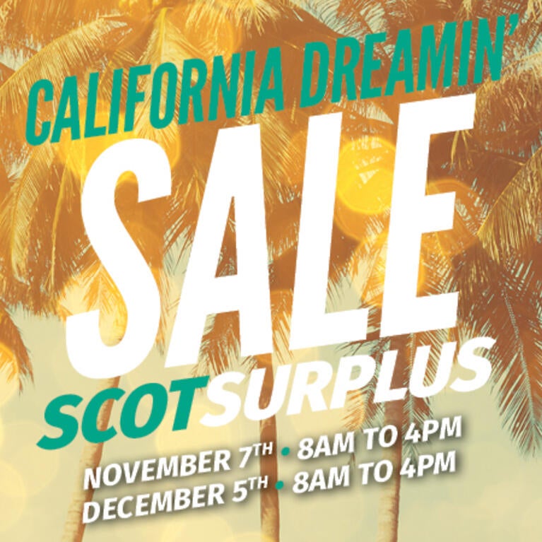 California Dreamin ScotSurplus Sale