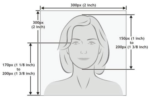 Passport sizing guide